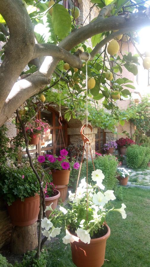 B&B Teresina Villasalto Екстер'єр фото